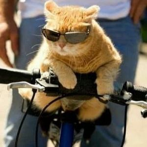 Meet your Posher, Shauna